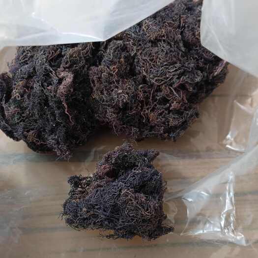 青岛江篱菜