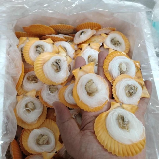 广州粉丝黄金贝