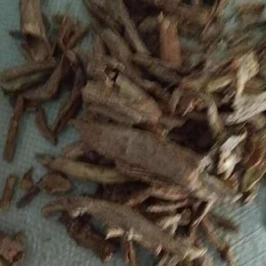 陇西县地骨皮