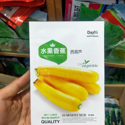 西安香蕉西葫芦种子耐寒春秋四季盆栽阳台南瓜蔬菜种籽水果型茭瓜种孑
