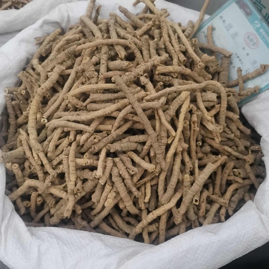 亳州远志无硫 中药材远志 抽芯去心   远志 远志肉【假一赔十】