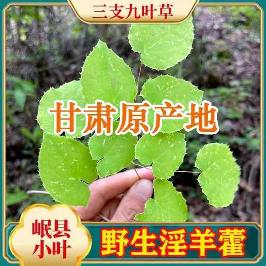 岷县甘肃小圆叶淫羊藿完整叶片手工精选干净无杂草包邮