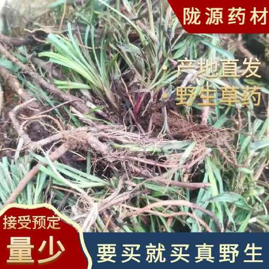 陇南甘肃野生黑柴胡全柴胡中药材整条根北柴胡产地纯野生柴胡正品