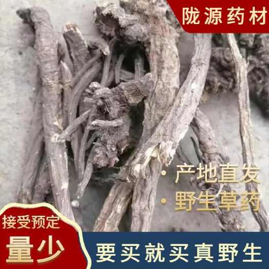 陇南甘肃羌活蚕羌竹节羌活深山采挖天然晒干中药材产地直发