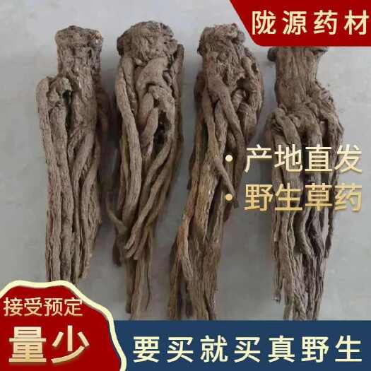 甘肃当归新货纯干当归个整条煲汤搭配黄芪党参血全场包邮