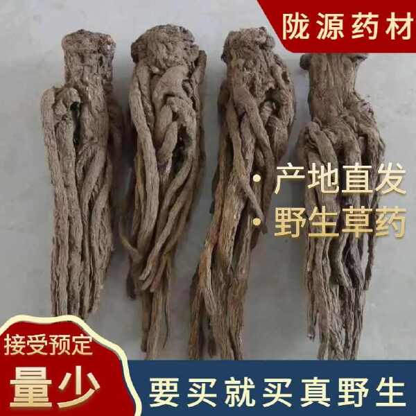 甘肃当归新货纯干当归个整条煲汤搭配黄芪党参血全场包邮