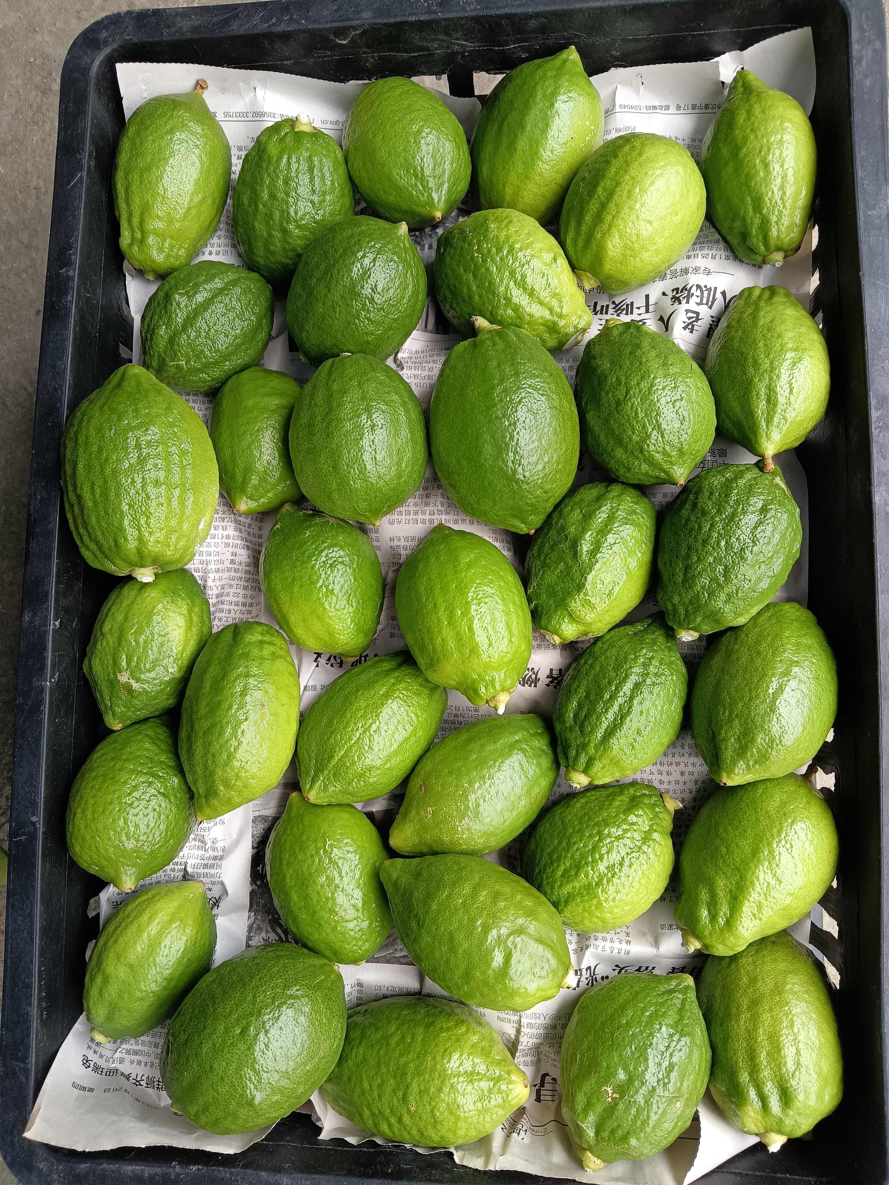 广东香水柠檬无籽产地直销量大优惠