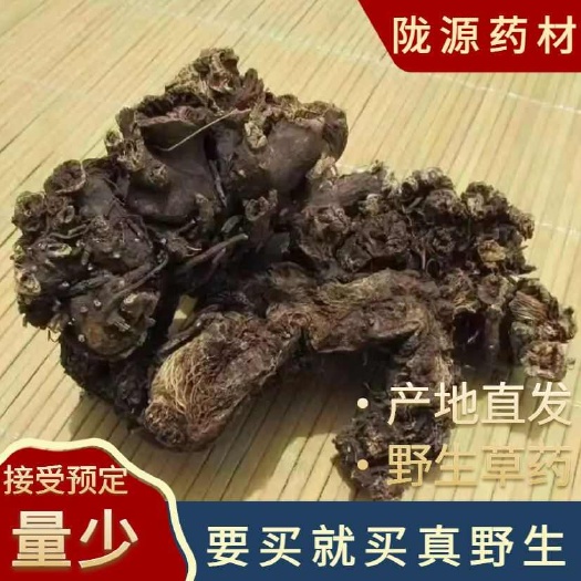 (真)甘肃产地直发源头升麻中药材天然新货正品整颗深山采挖