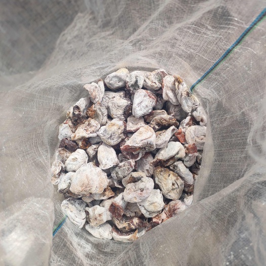 青州市山东沂蒙老树柿饼下检果