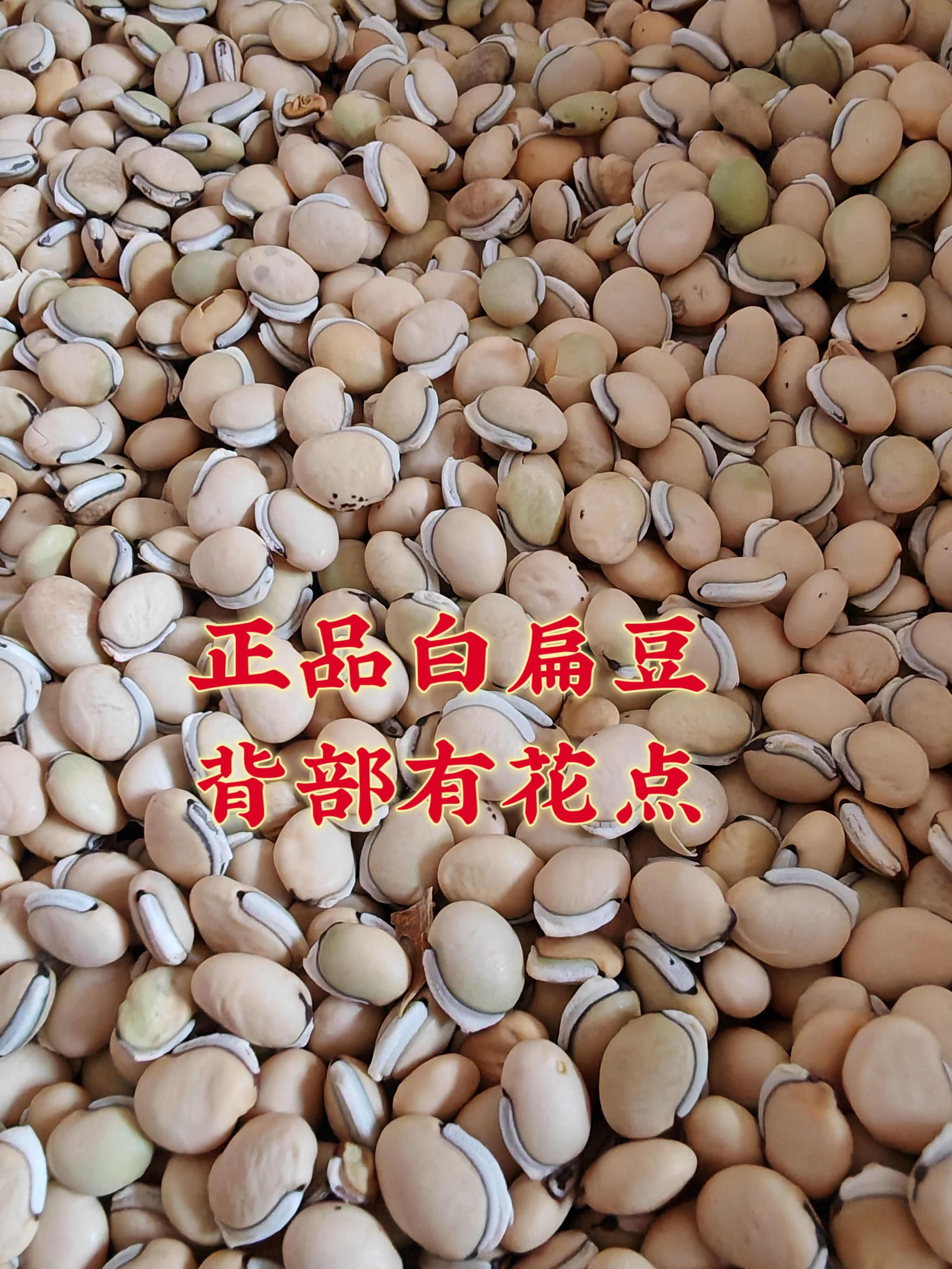【永发药业】白扁豆 正品白扁豆 背部有花点  白扁豆