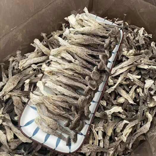 广州鹿茸菇干货中大条鹿茸菇批发产地直销颜色新鲜味香浓郁
