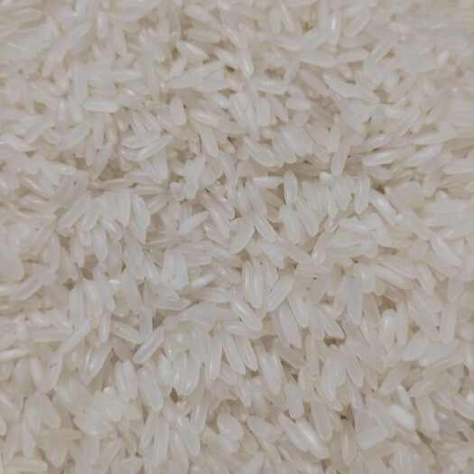 凤阳县黄花粘