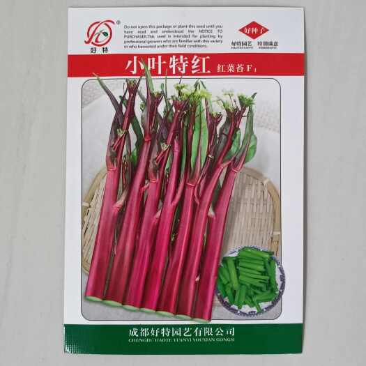 长沙县好特 小叶特红 红菜苔种子杂交早熟60天采收无蜡粉基地