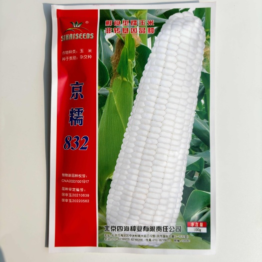 沭阳县糯玉米种子 四海京糯832 超甜高产抗病皮薄肉嫩香甜糯玉米