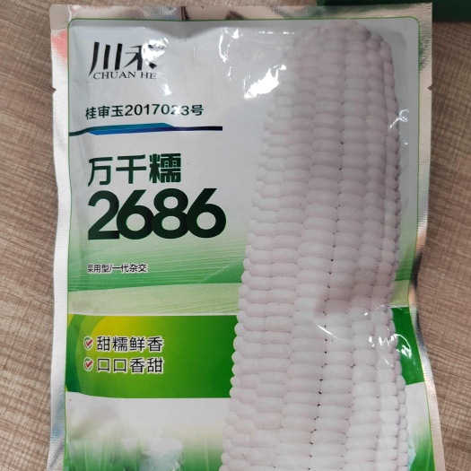 万千糯玉米种子  大棒型水果白甜糯玉米，皮薄，商品性好，里面