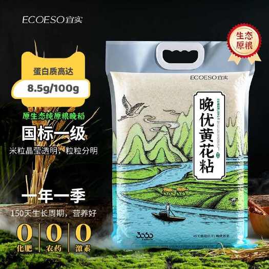 南昌黄花粘