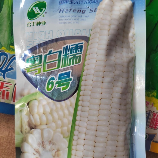 南宁粤白甜6  甜糯玉米种子早熟，满顶心小，抗病能力强，适应性广