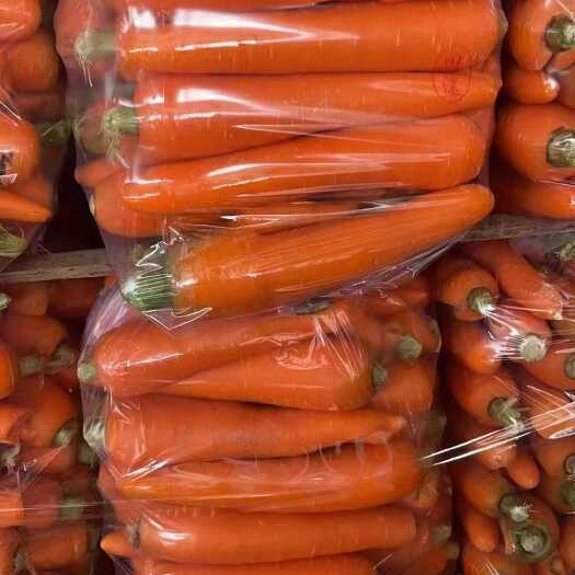 大量供应食堂、加工厂用的胡萝卜次品
