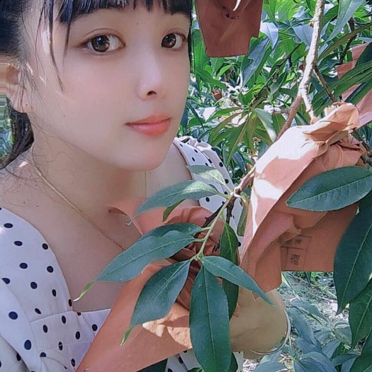 洪江市高山锦绣黄桃