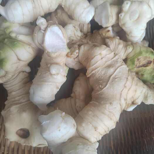 镇巴县黄精
