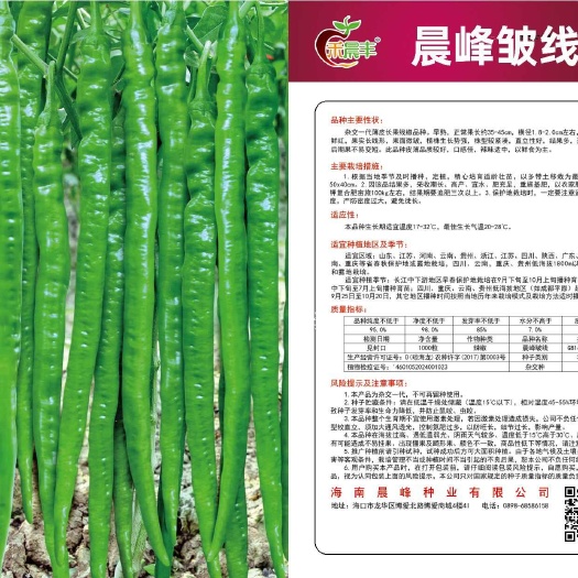 海口薄皮长果线椒，早熟，果长35～45cm，果面微皱，辣味适中。
