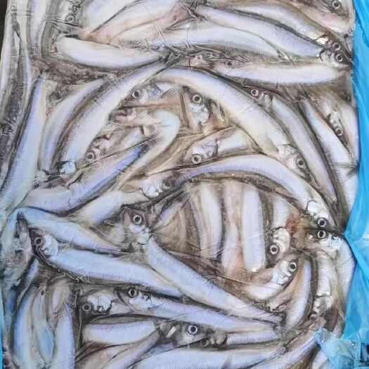 济南多春鱼原料