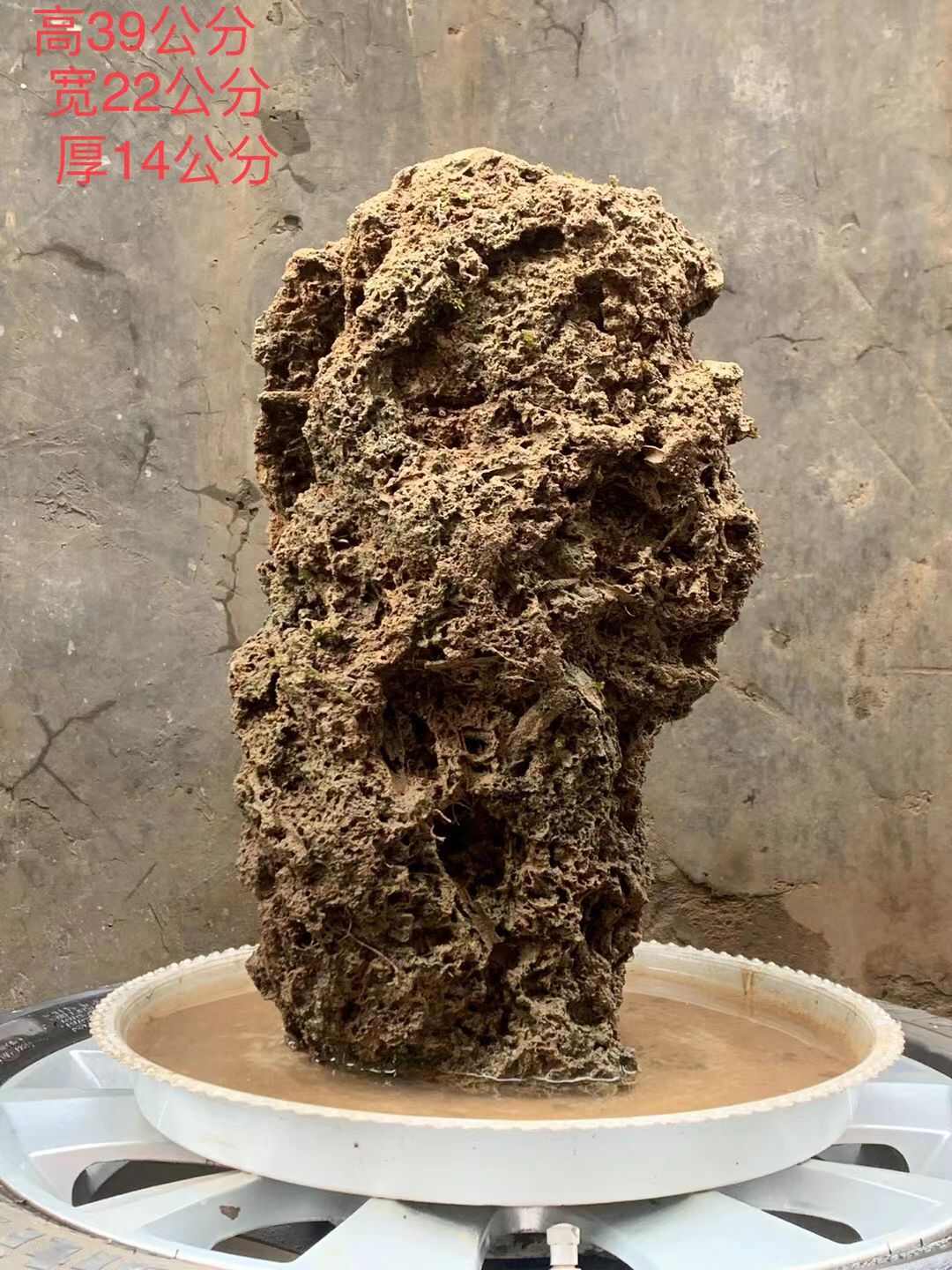 天然上水石吸水石盆景石假山奇石