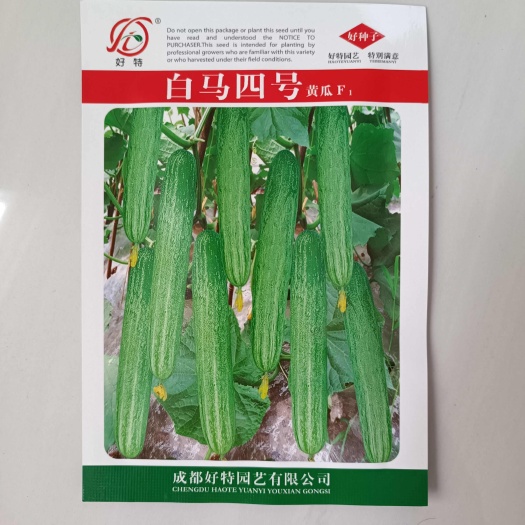 好特白马四号杂交黄瓜种子早熟优质无苦味强雌性耐热春夏秋播