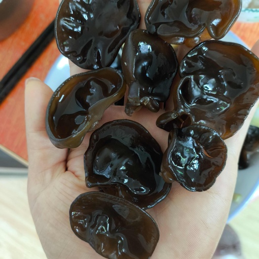 黑木耳婉儿泡发15斤左右大鹏头茬厚