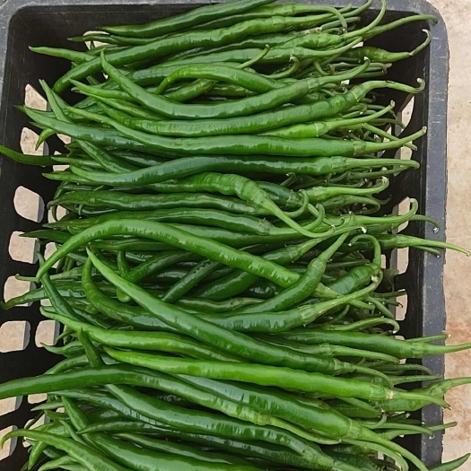 昆明3号线椒