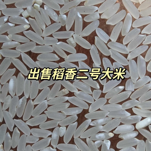 榆树市长粒发五大米