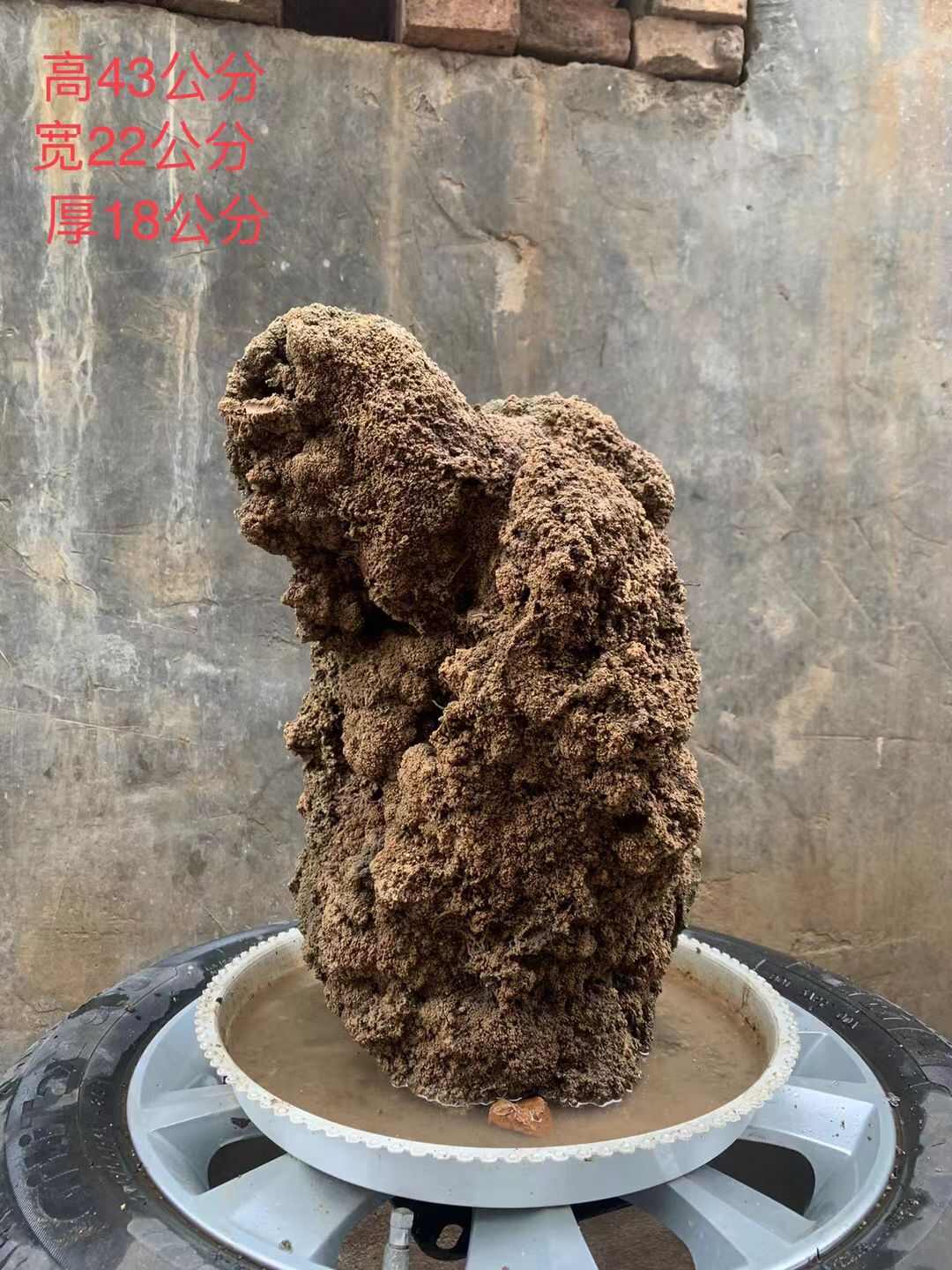 天然上水石吸水石盆景石假山奇石