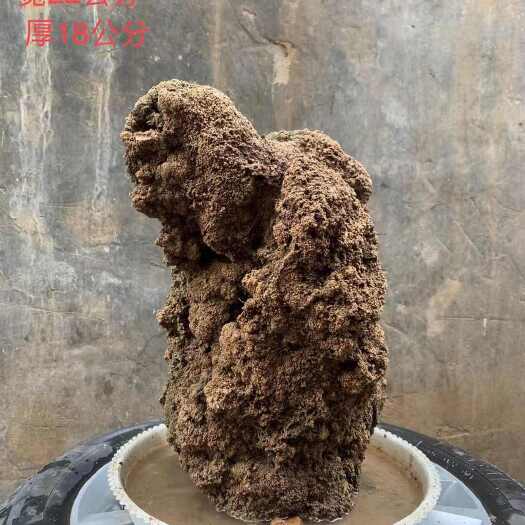 盘州市天然上水石吸水石盆景石假山奇石