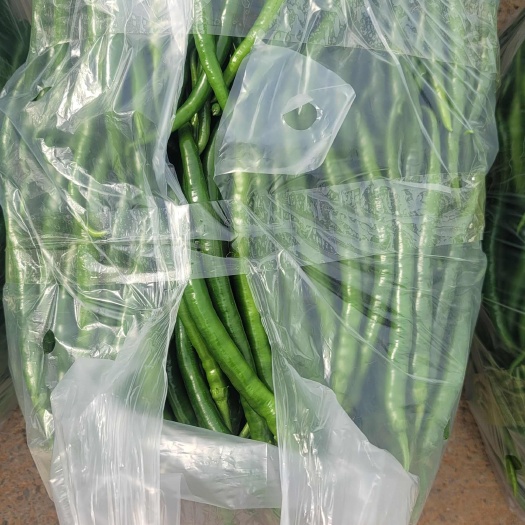 昆明线椒