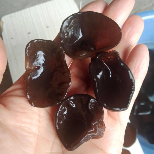 东北黑木耳，产地直发无增重货源，泡发率高，泡出来黑度好无烂片