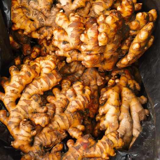 兴义市鲜货 冷库货 大量供应