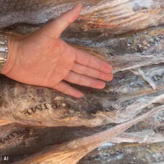 珠海巴西冰冻龙虾