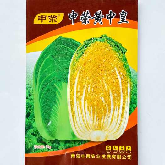 沭阳县黄中皇黄心大白菜种子高产抗抽苔南韩春秋季农用大田种植蔬菜种籽