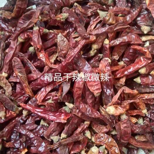 印度干辣椒爆辣辣椒王辣度十万+最好小米椒大货供应批零兼营