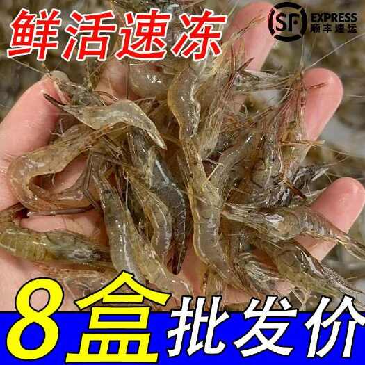 【顺丰包邮】新鲜小河虾新鲜鲜活冷冻淡水虾青虾急冻鲜虾草虾