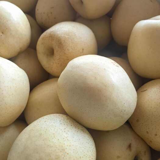 砀山县皇冠梨