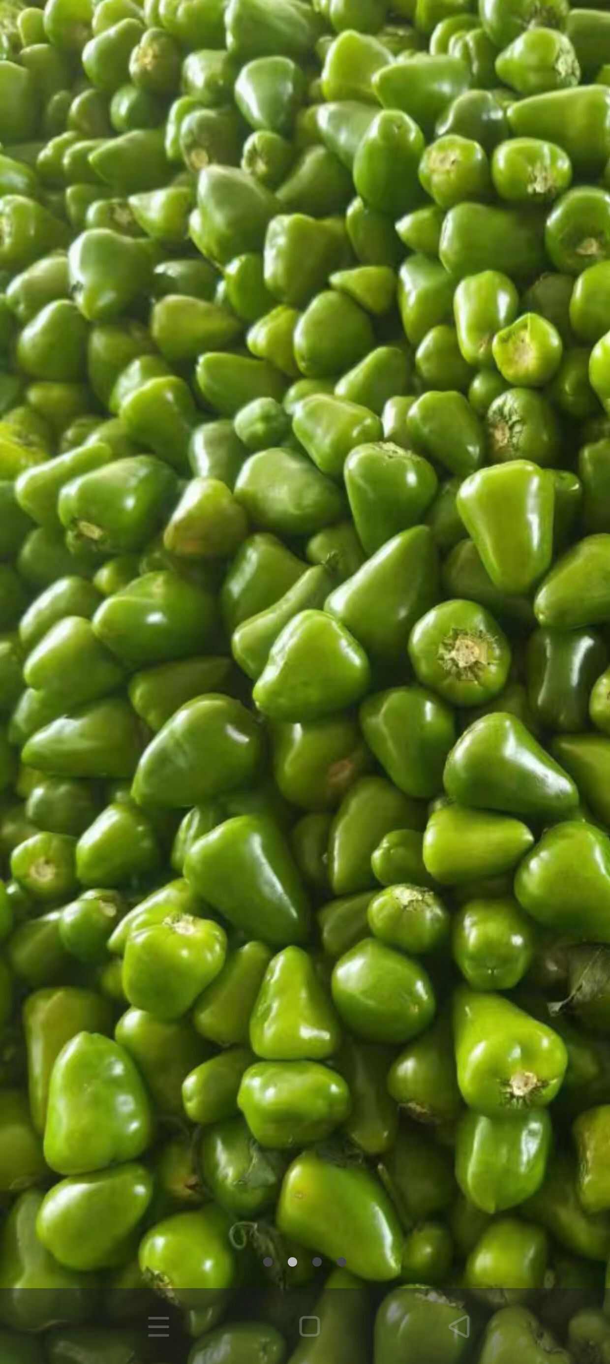 精品草莓椒，无把无帽，上货量大
