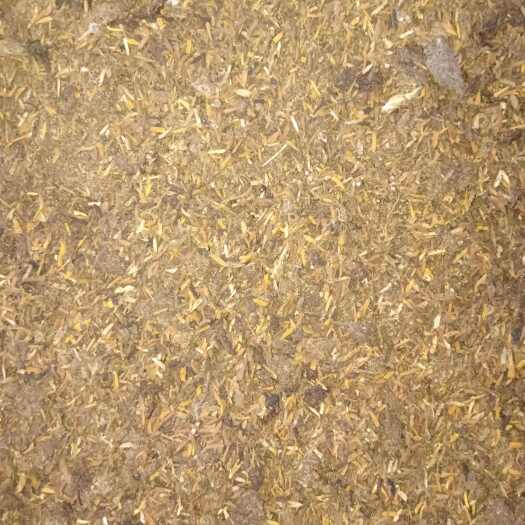 钦州鸡粪