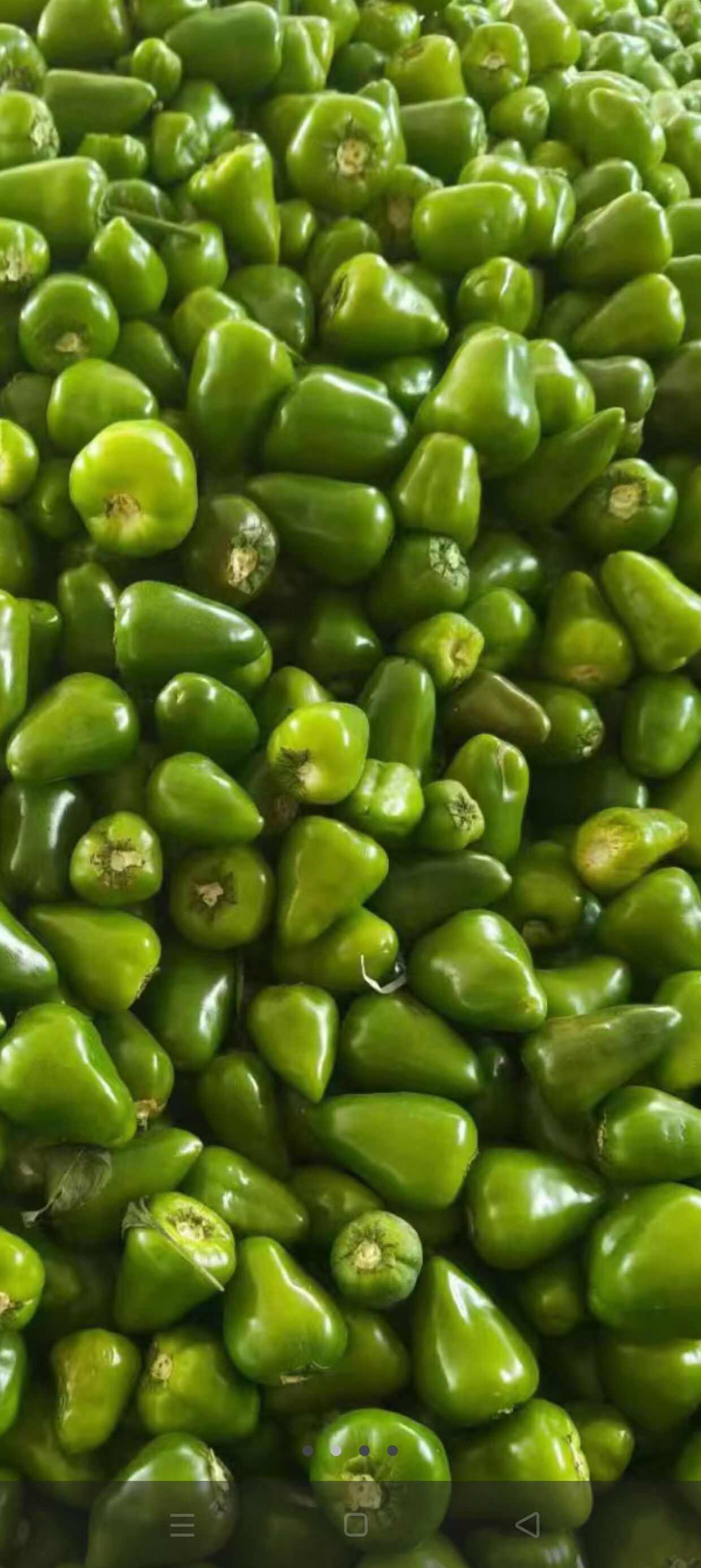 精品草莓椒，无把无帽，上货量大