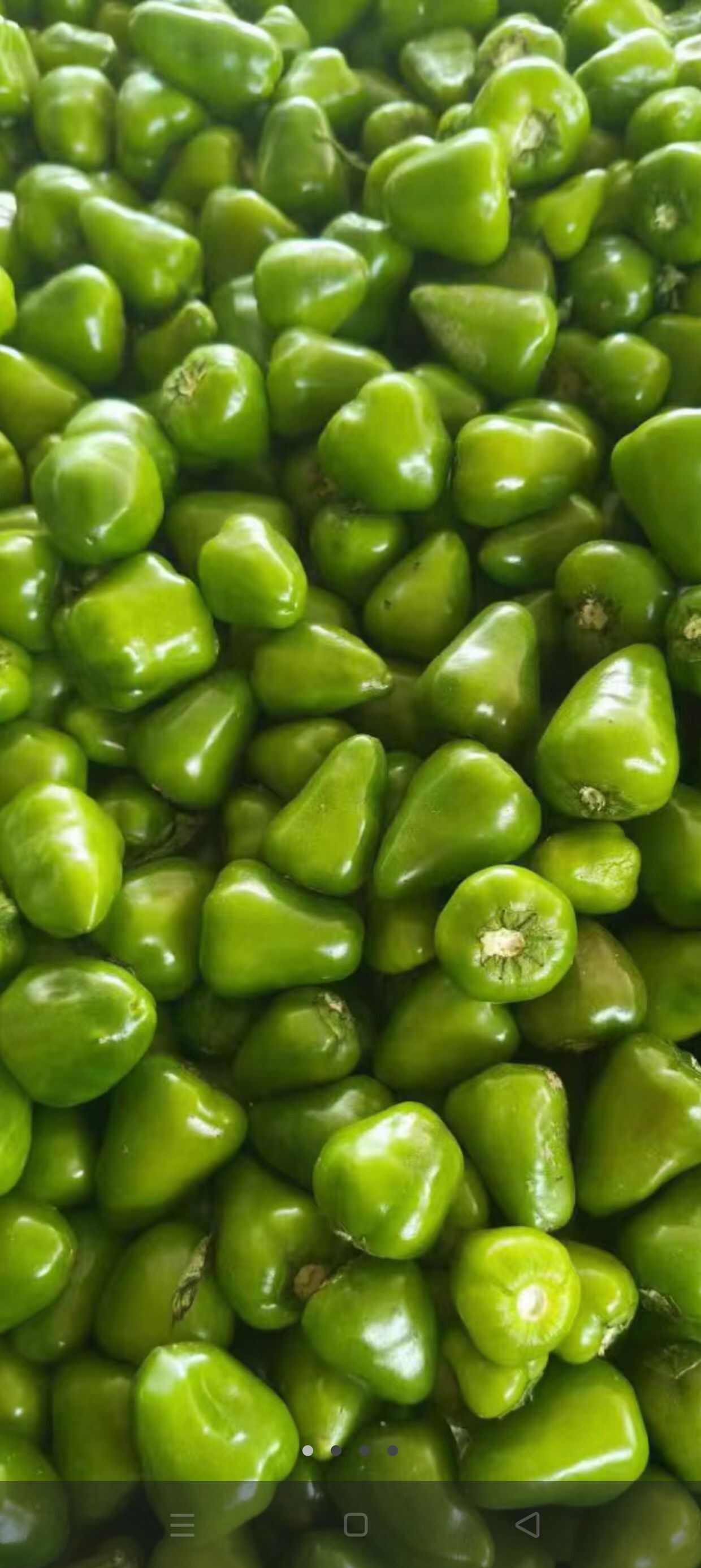 精品草莓椒，无把无帽，上货量大