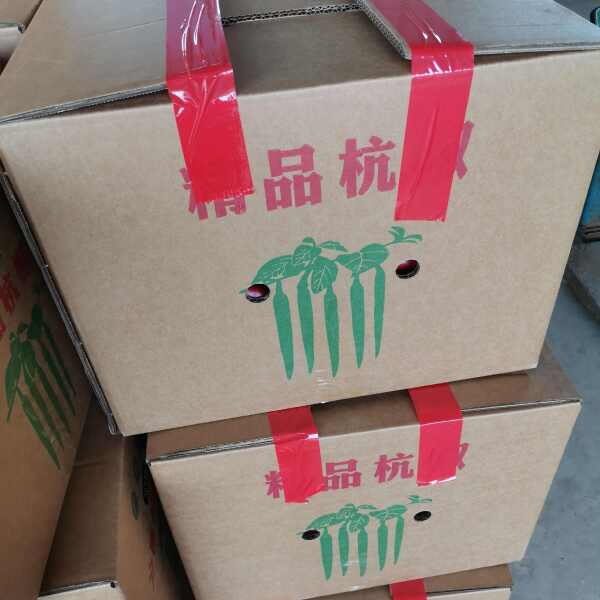 精品杭椒，大量上市，