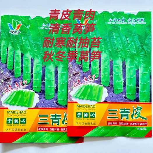 沭阳县三青皮莴笋种子青皮绿肉高产耐热耐寒耐抽苔四季蔬菜香莴苣种籽
