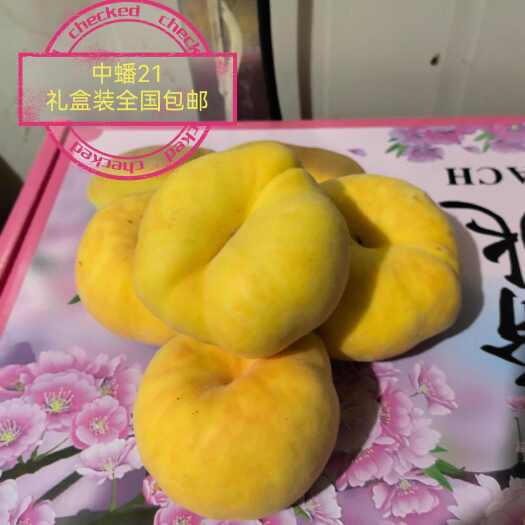 武功县中蟠21号（黄肉毛蟠桃）