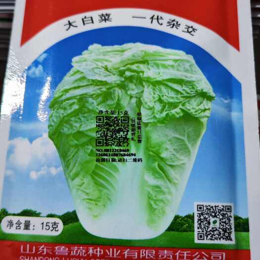 眉山牛头牌白菜种子 牛头19号白菜种子