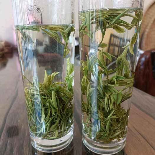 黟县毛峰茶